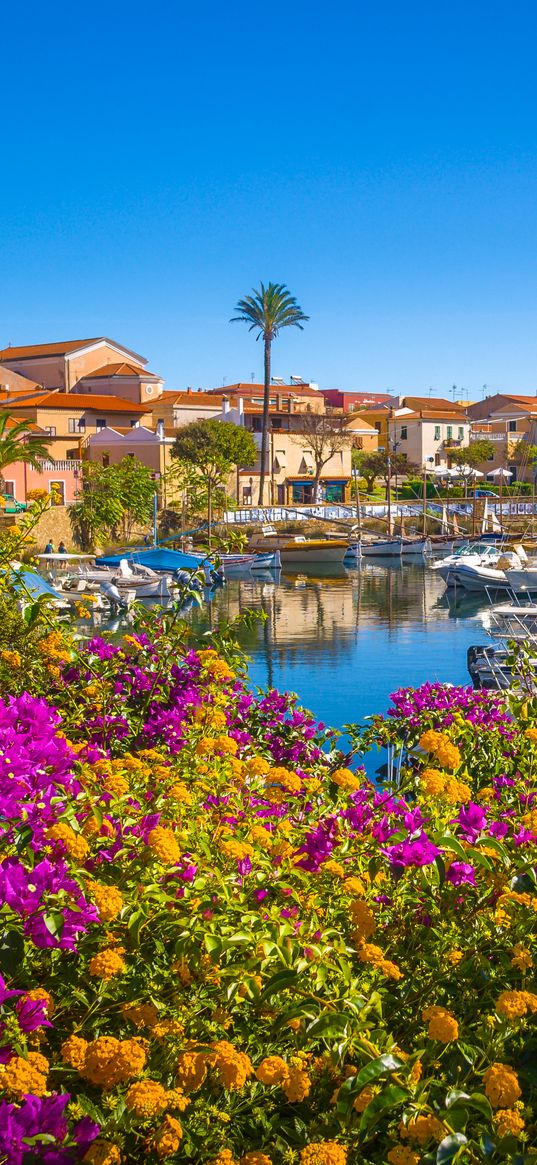 flowers, pier, yachts, houses