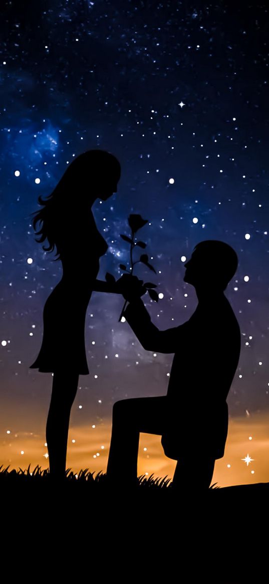 couple, rose, shadow, silhouette, night, starry sky