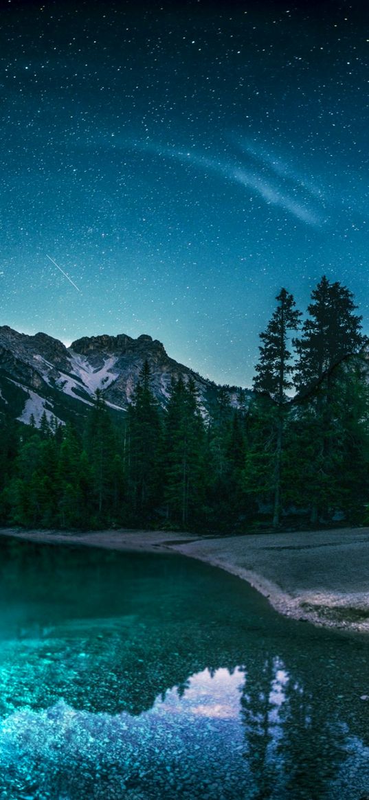 christmas trees, lake, reflection, mountains, starry sky, stars, forest, nature