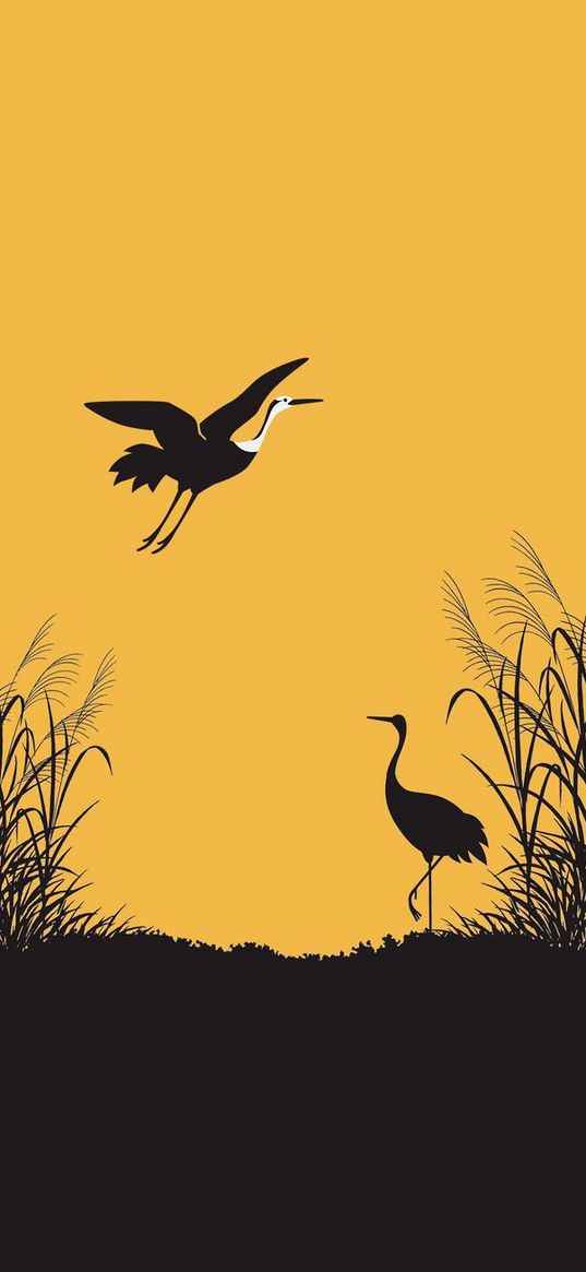 crane, heron, birds, black, yellow background, art