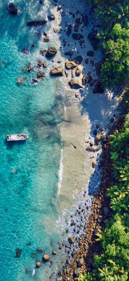 ocean, boat, beach, sand, trees, landscape