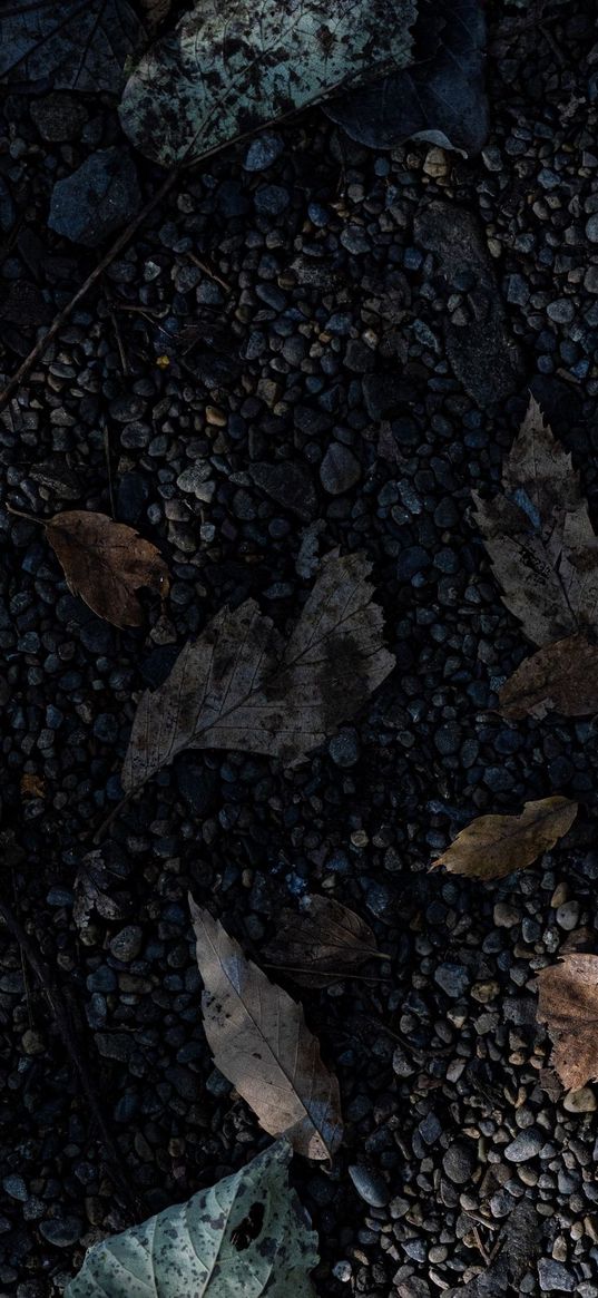 black, rocks, fallen leaves, asthetic