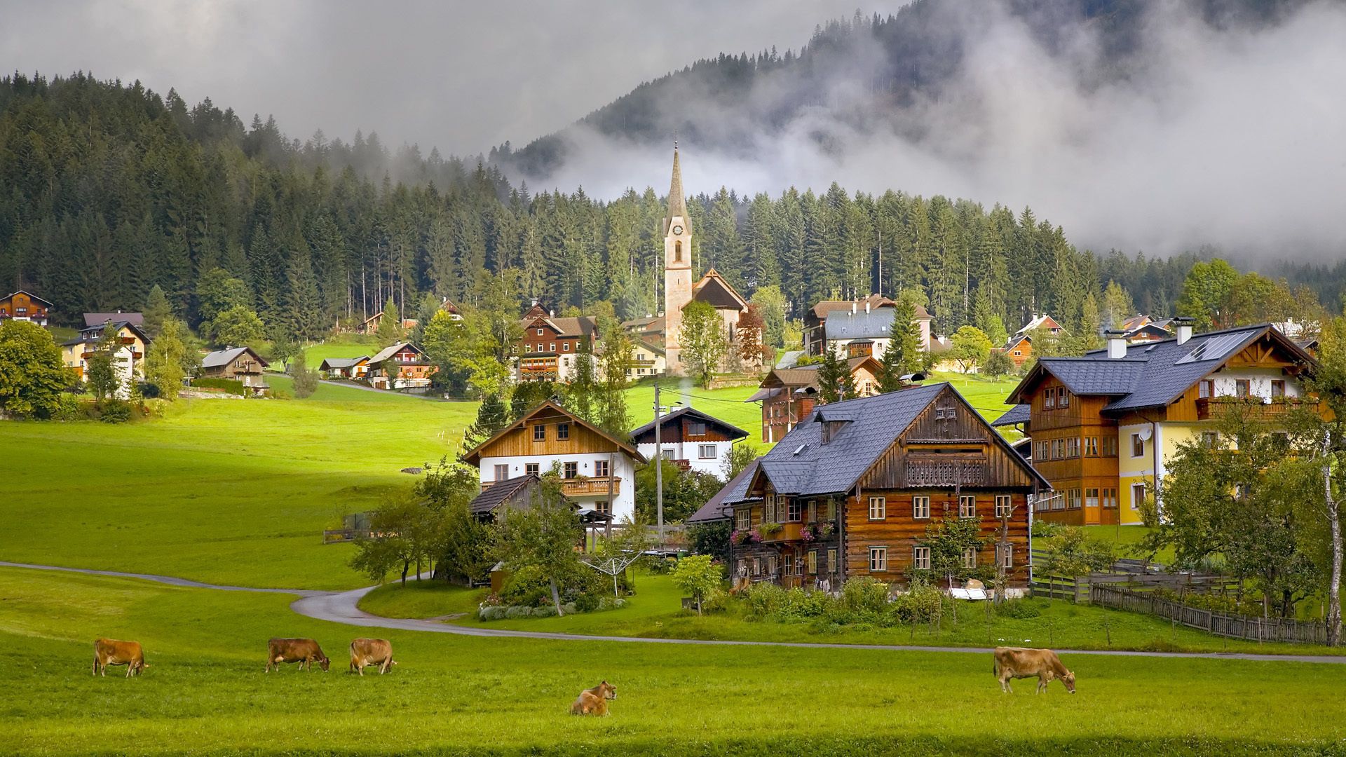 austria, gosau, village, houses, cows