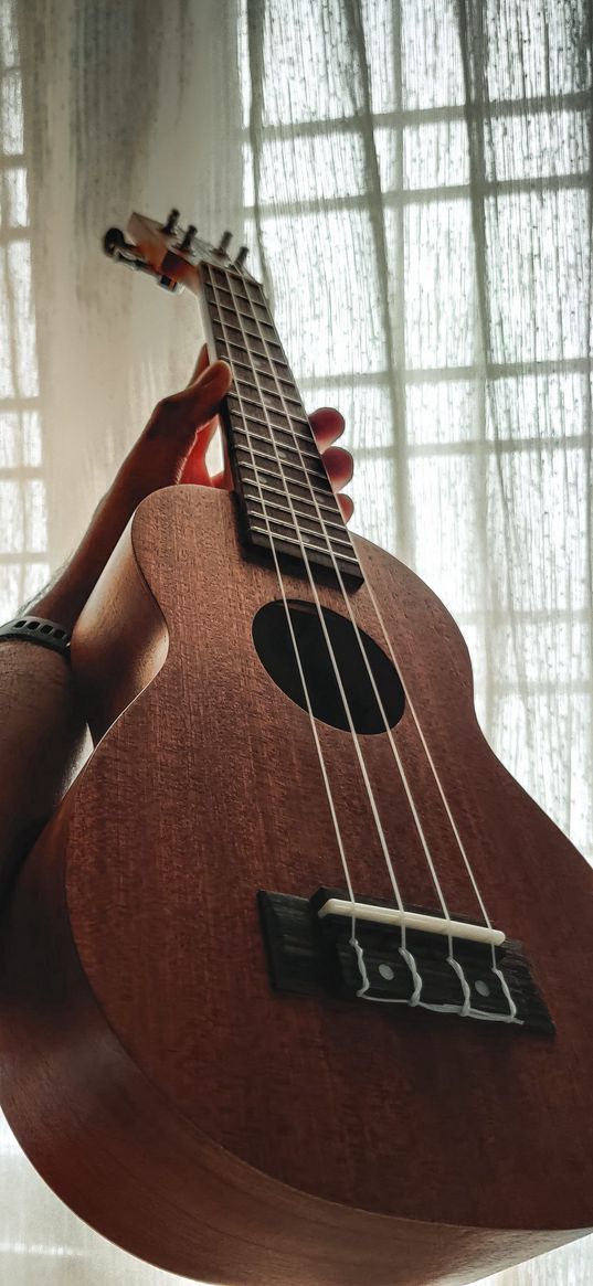 ukulele, guitar, strings, music, hand, window