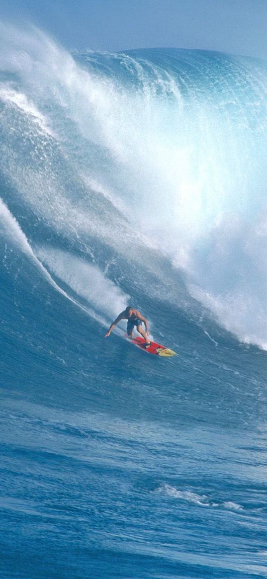 surfing, guy, board, wave, hawaii