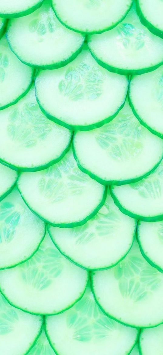 cucumbers, slices, vegetable, green, macro