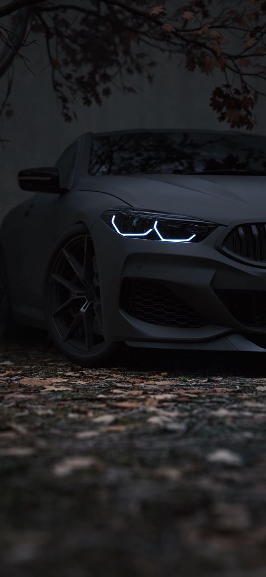 bmw, car, tree, leaves, autumn, dark