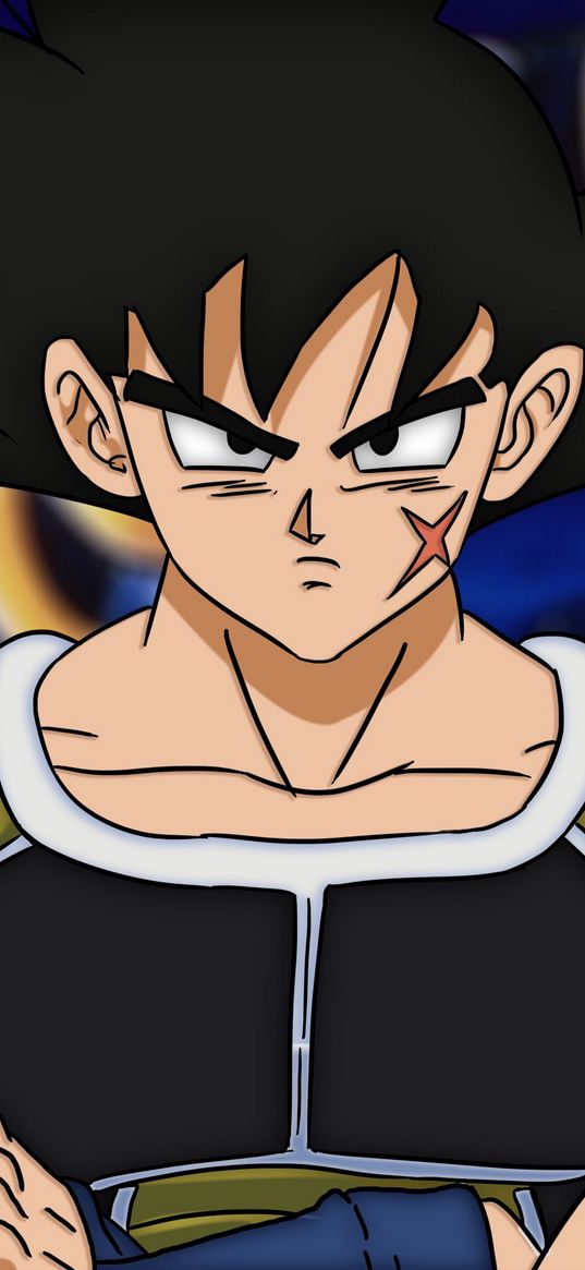 bardock, dragon ball, anime, character