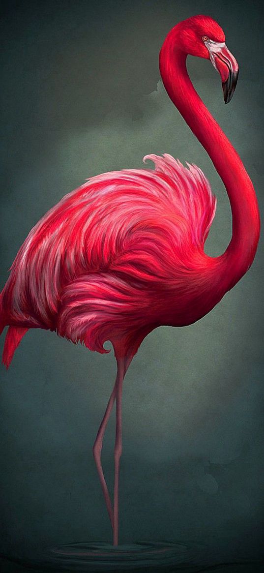 flamingo, bird, pink, art