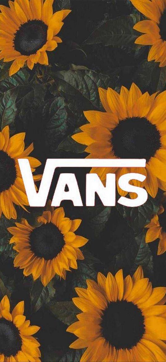 vans, logo, sunflowers, flowers