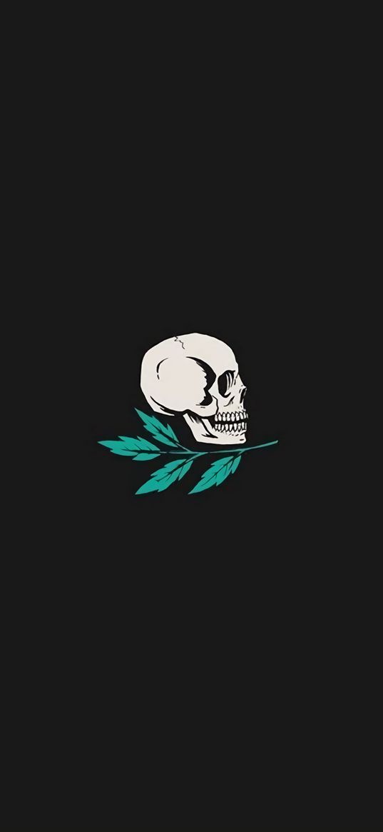 skull, branch, minimalism, art