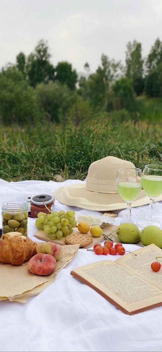 fruits, glasses, hat, picnic, aesthetics