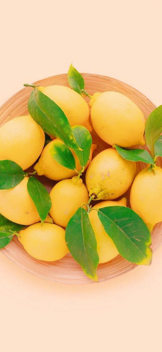 lemons, leaves, plate, fruit