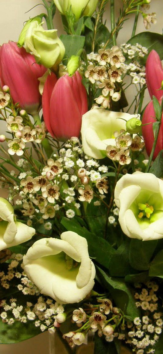 tulips, flowers, bouquets, composition