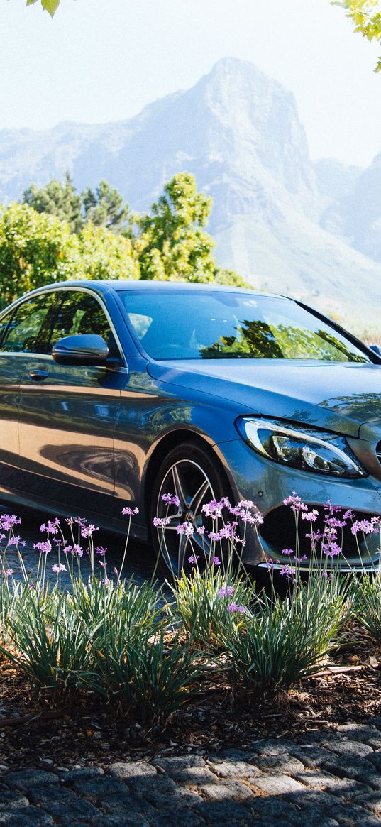 mercedes-benz, mercedes, car, flowers