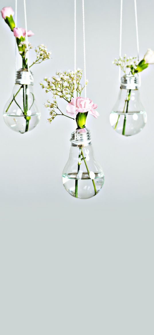 carnations, flowers, light bulb, creative, gray background