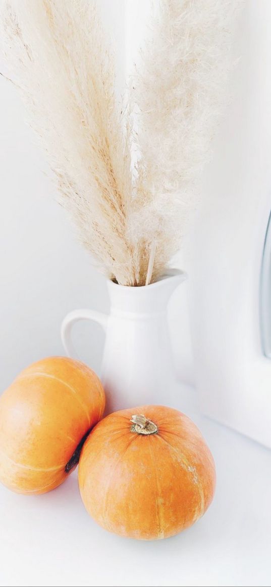 vase, pumpkins, aesthetics, white