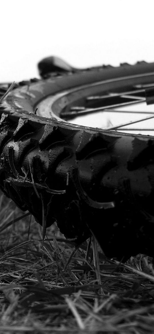 bus, spikes, wheel, bicycle, black and white