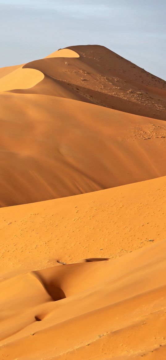 dune, sand, relief, desert