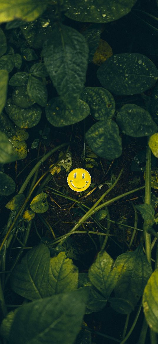 keychain, smiley face, grass, plants, nature