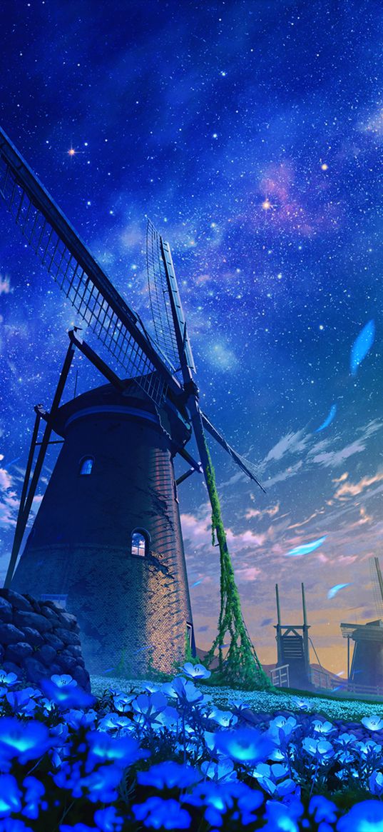 mill, flowers, clouds, starry sky, stars, sky, anime, art