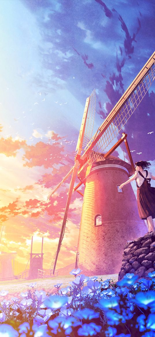 girl, mill, flowers, clouds, birds, sunset, sky, anime, art