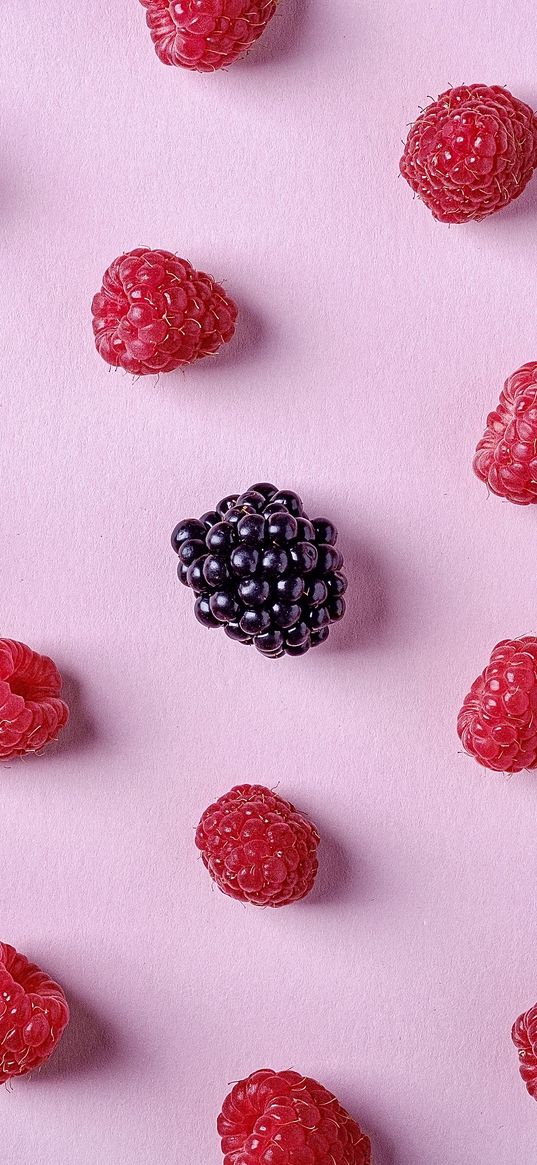 raspberries, blackberries, berries, pink background