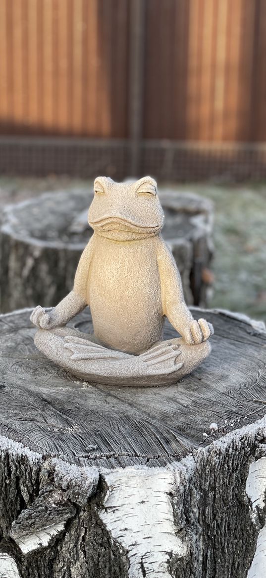 frog, meditation, rock