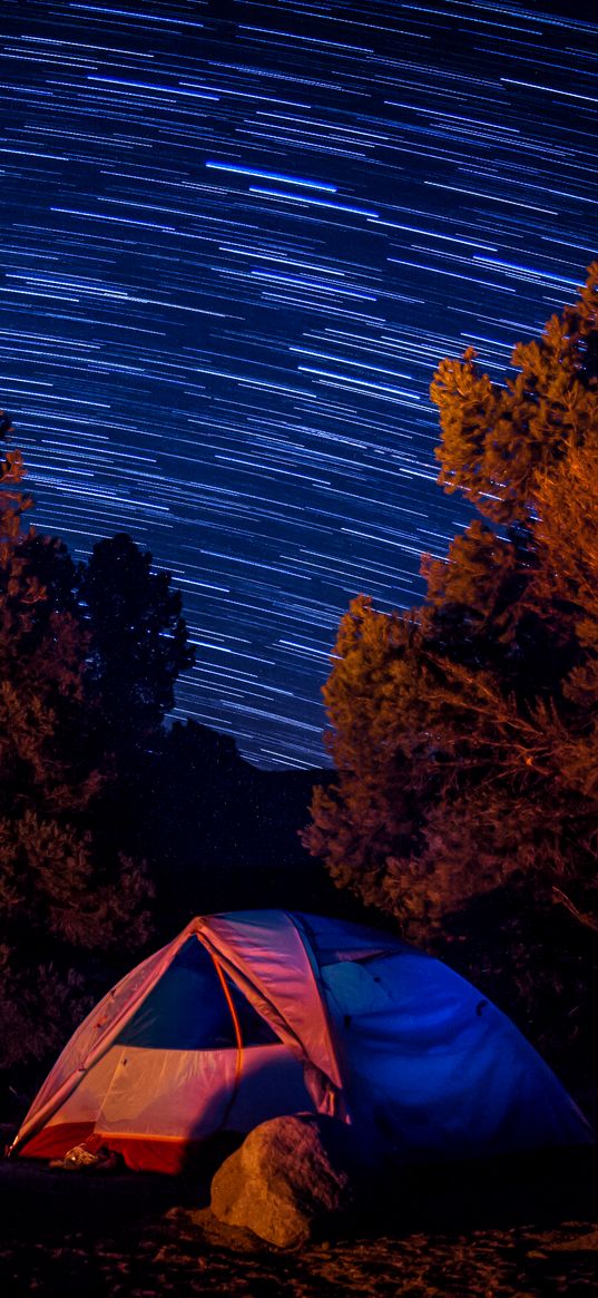 tent, trees, starry sky, long exposure, dark