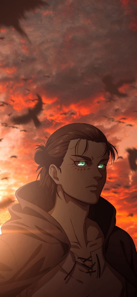 eren yeager, attack on titan, anime, guy, green eyes, cloak, birds, clouds, sunset, art