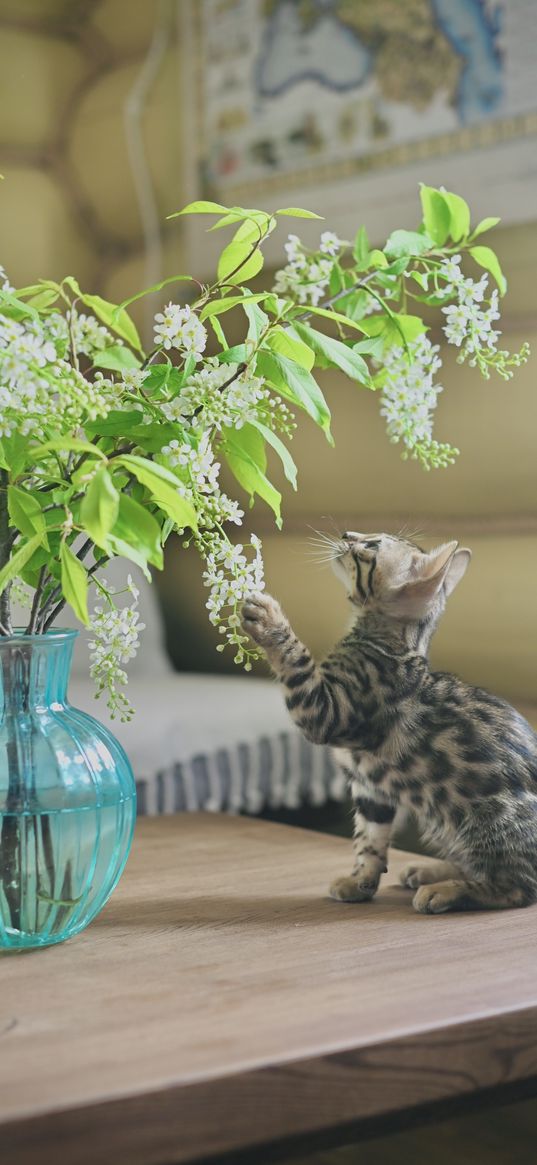 kitten, lilac, flowers, vase, playing, house, pet