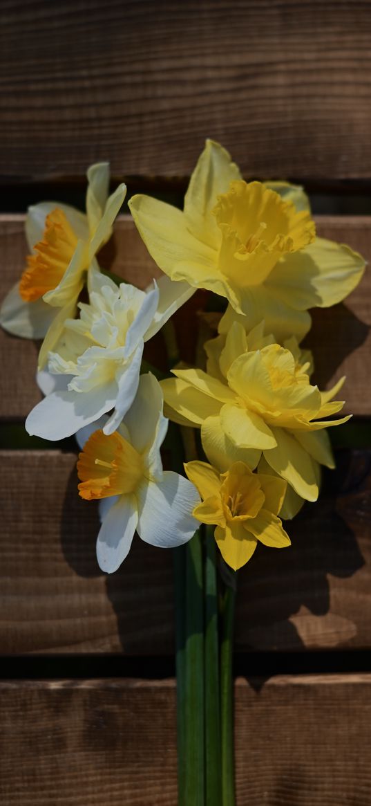 narcissus, flowers, bouquet, boards, wood