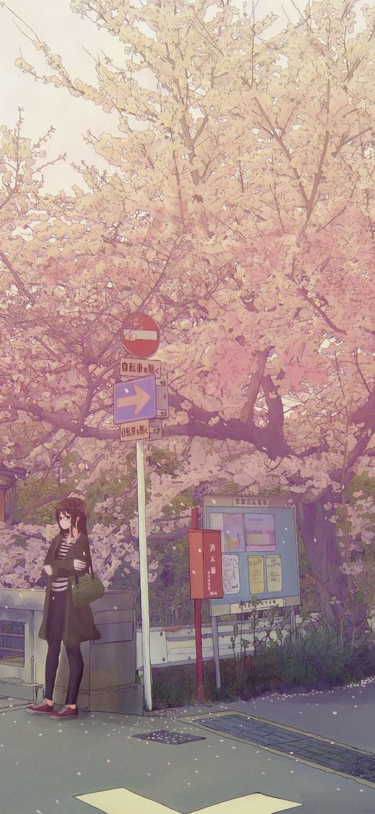 girl, sakura, road signs, street, spring, anime, art