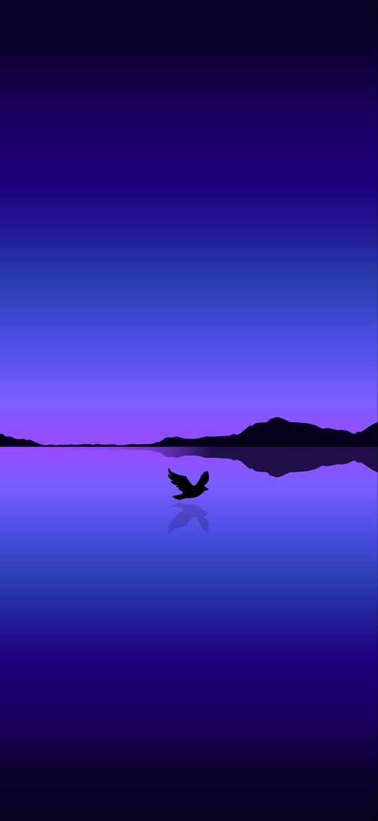 bird, flight, water, reflection, vector, blue