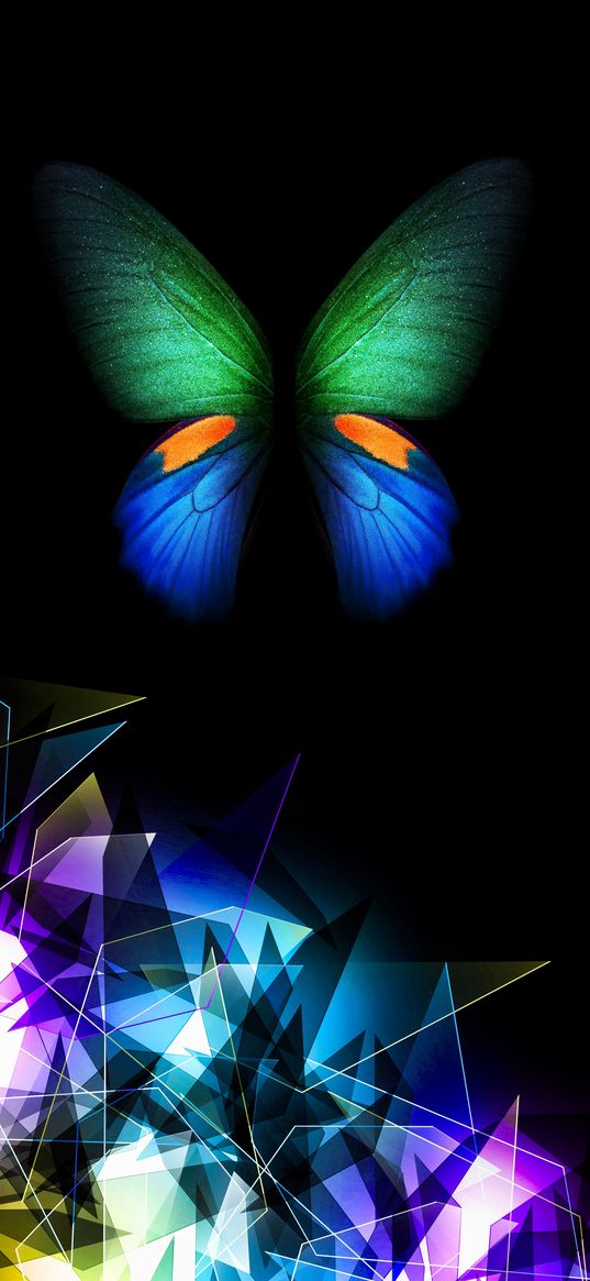 butterfly, insect, blue, green, black background, geometry, art