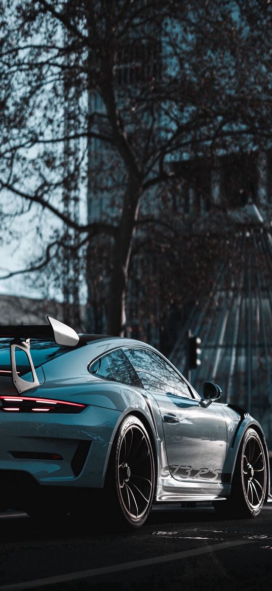 porsche, sports car, car, gray, tree, street