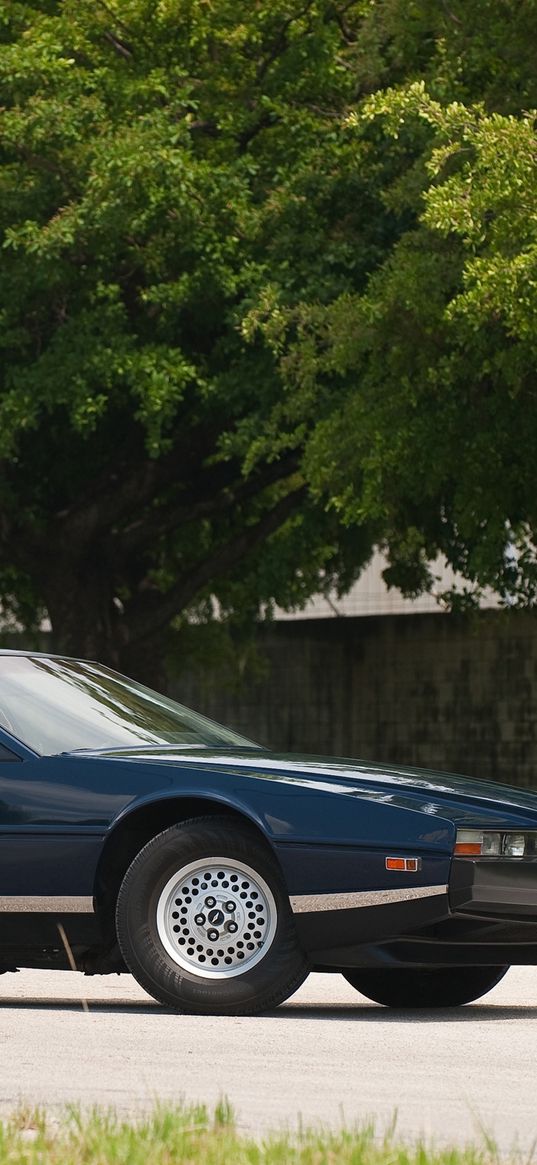 aston martin, lagonda, 1976, blue, side view, cars, nature