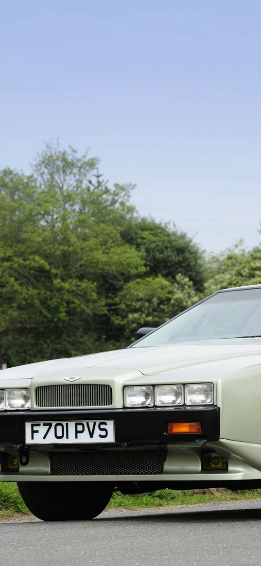 aston martin, lagonda, 1987, green, front view, retro, trees