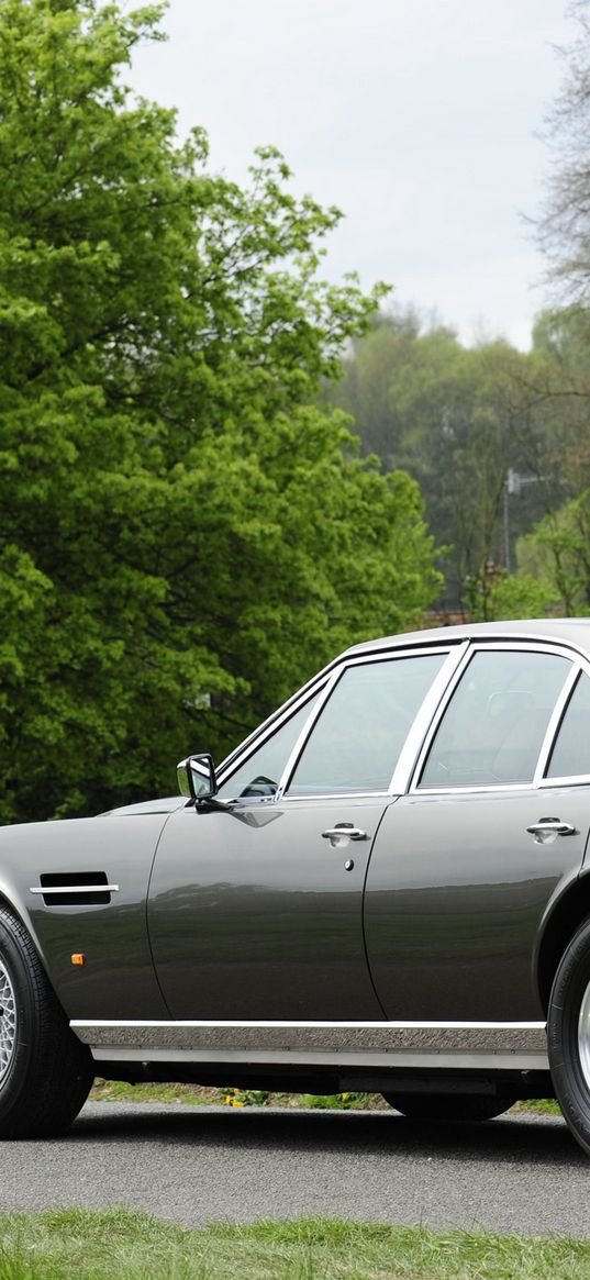 aston martin, lagonda, v8, 1974, gray, side view, car, retro, nature