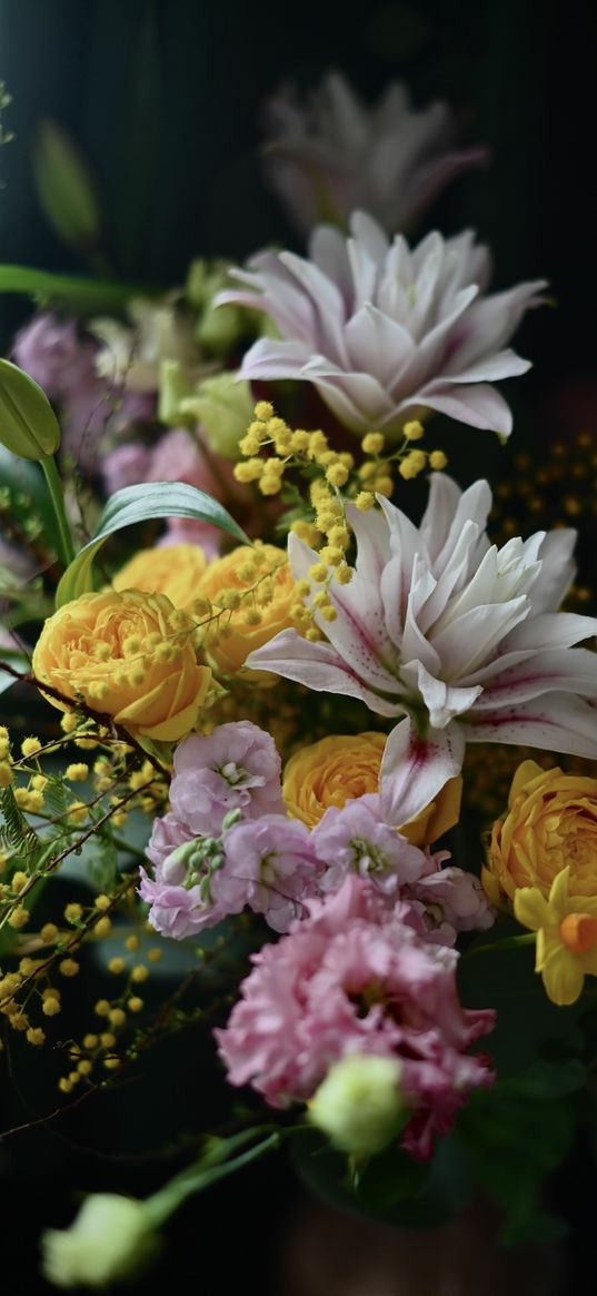 flowers, dark, lily, rose, yellow