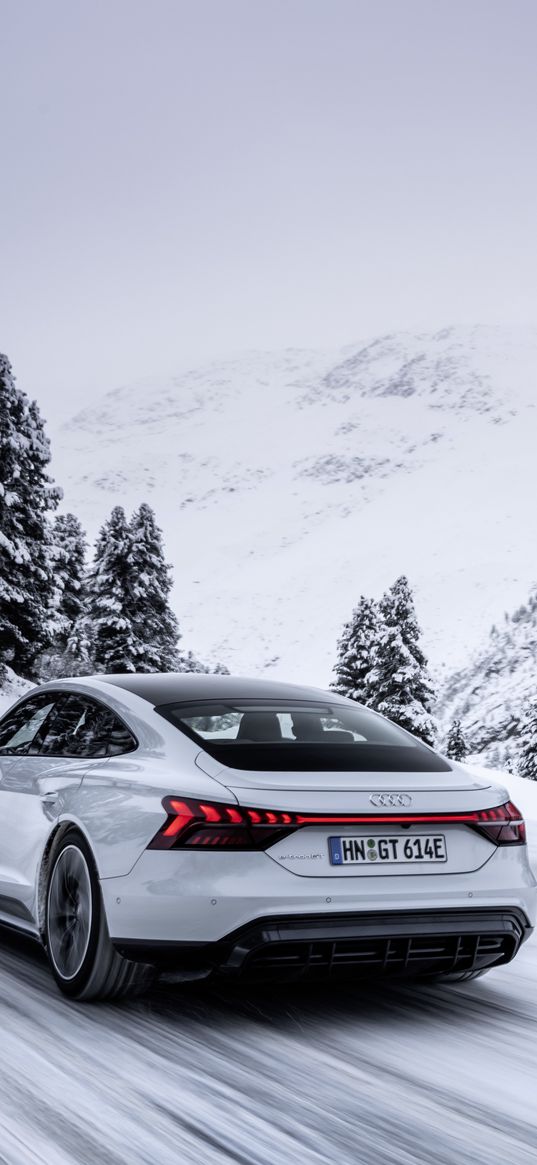 audi e-tron, audi, sports car, electric car, car, gray, road, speed, christmas trees, snow, winter, nature