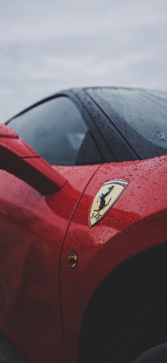 ferrari, car, red, logo, decal, rain, water, drop