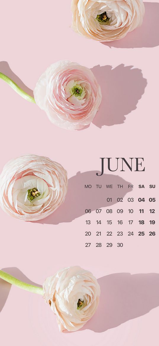 june, calendar, summer, flowers, pink