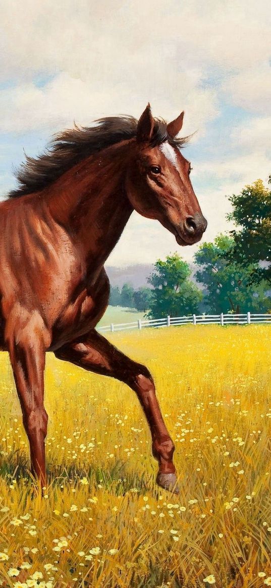 horse, stallion, grass, meadow, running