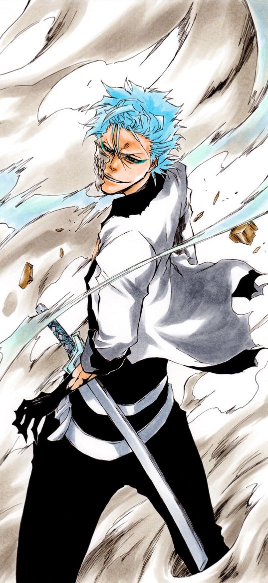 grimmjow jaegerjaquez, bleach, anime, guy, warrior, blue hair, sword, mask, art