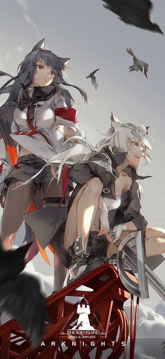 texas, lappland, arknights, anime, game, girls, birds, art