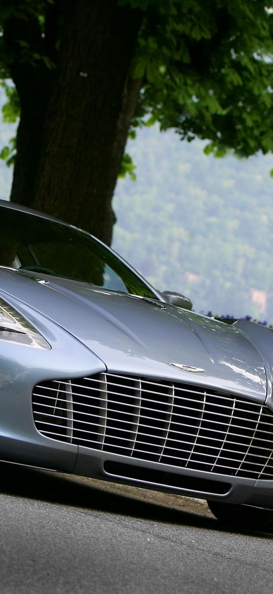 aston martin, one-77, 2009, blue, front view, nature