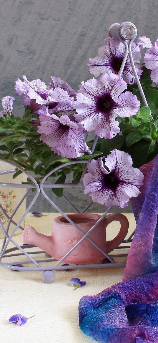 kalibrahoa, flowers, watering can, scarf, bottle, water, petals