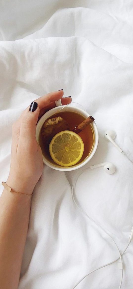 tea, lemon, cinnamon, cup, headphones, aesthetics