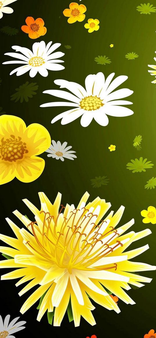 flowers, graphic, background, daisies, dandelions